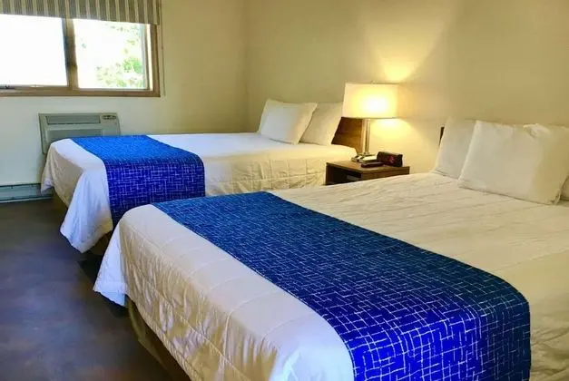 Süit, 2 Büyük (Queen) Boy Yatak, Sigara İçilmez (1 Room)