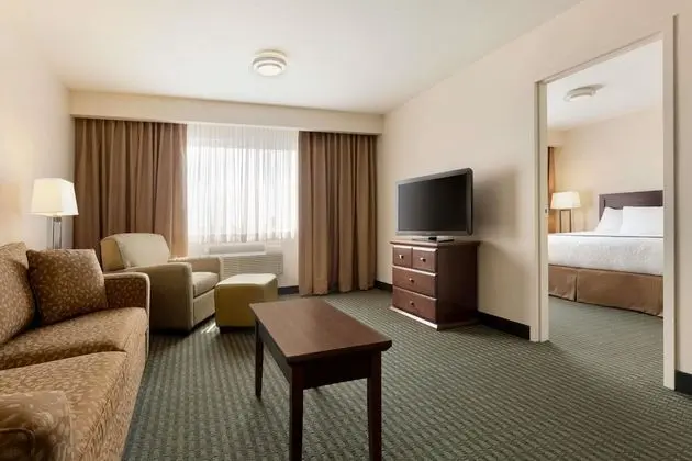 Süit, 1 En Büyük (King) Boy Yatak, Sigara İçilmez (One-Bedroom)