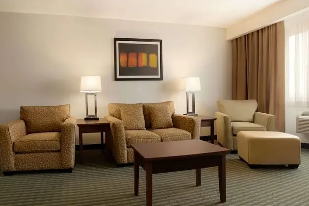 Süit, 1 En Büyük (King) Boy Yatak, Sigara İçilmez (One-Bedroom)