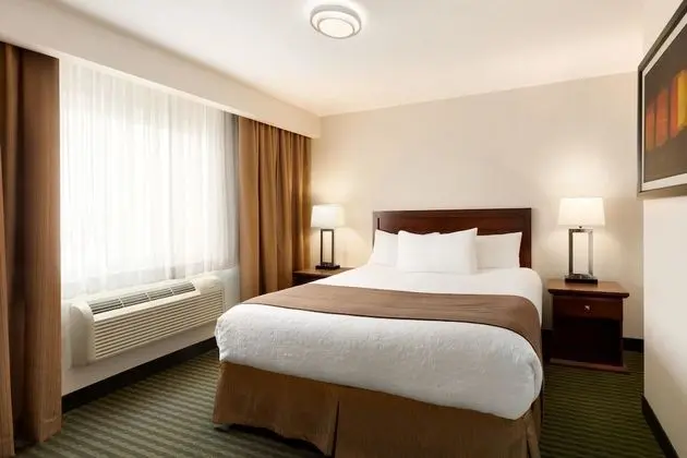 Süit, 1 En Büyük (King) Boy Yatak, Sigara İçilmez (One-Bedroom)