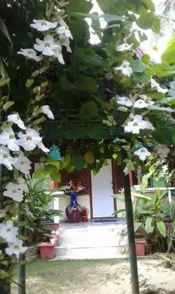Superior Tek Büyük veya İki Ayrı Yataklı Oda, 3 Yatak Odası, Özel Banyo, Bahçe Manzaralı (Aircon)