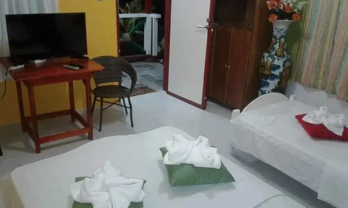 Superior Tek Büyük veya İki Ayrı Yataklı Oda, 3 Yatak Odası, Özel Banyo, Bahçe Manzaralı (Aircon)
