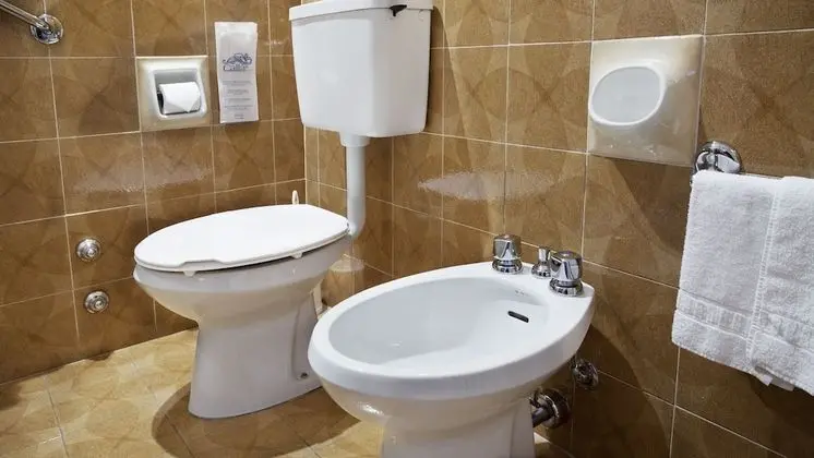 Standard Tek Büyük veya İki Ayrı Yataklı Oda