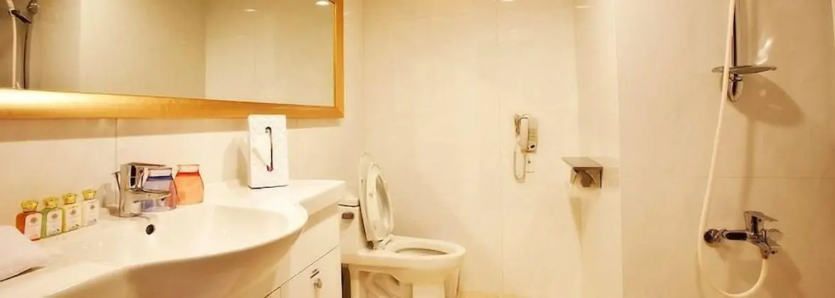 Oda, Özel Banyo, Şehir Manzaralı (England Grace)
