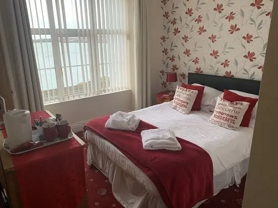 Standard Tek Büyük Yataklı Oda, Banyolu/Duşlu ( Sea View with shower)