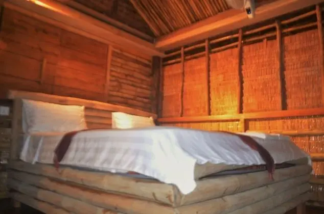 Tek Büyük Yataklı Oda, Balkon (Bamboo)