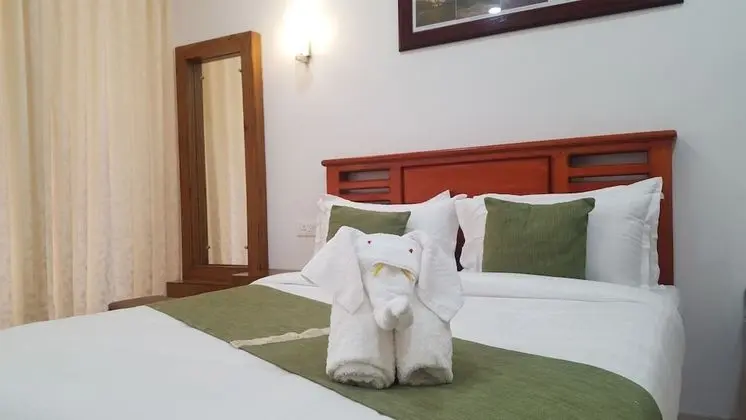 Deluxe Tek Büyük Yataklı Oda, 1 Büyük (Queen) Boy Yatak, Sigara İçilebilir
