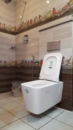 Deluxe Tek Büyük Yataklı Oda, 1 Büyük (Queen) Boy Yatak, Sigara İçilebilir