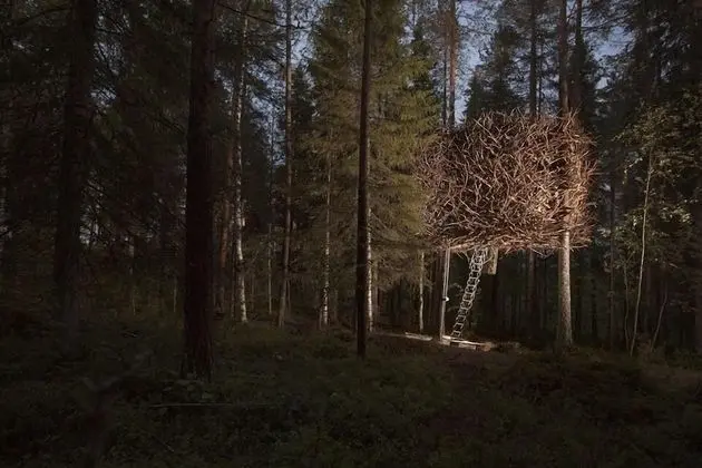 The Bird's Nest