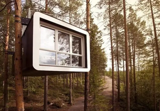 The Cabin