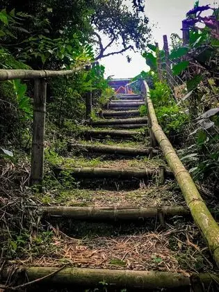 Oda, 1 Yatak Odası, Engellilere Uygun