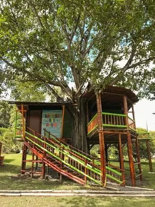 Oda, 1 Yatak Odası, Engellilere Uygun