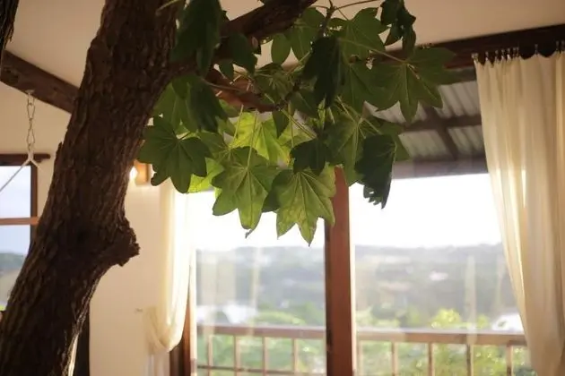 Dört Kişilik Oda, Sigara İçilmez, Deniz Manzaralı