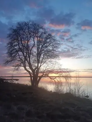 Kulübe, Birden Çok Yatak