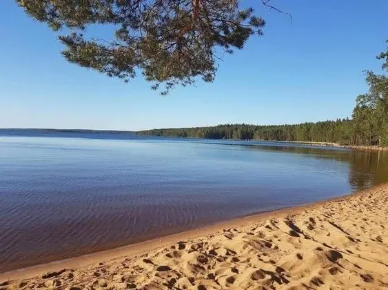 Kulübe, Birden Çok Yatak
