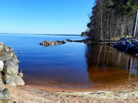 Kulübe, Birden Çok Yatak