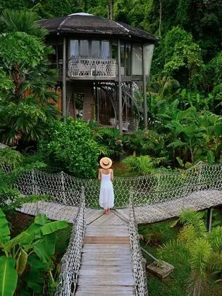 Villa (TreeHouse)