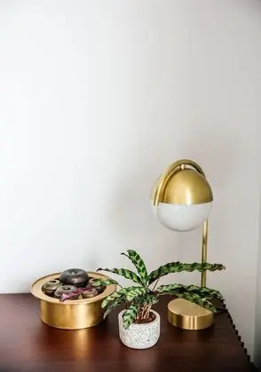 Deluxe İki Ayrı Yataklı Oda (Urban + Mini Bar)