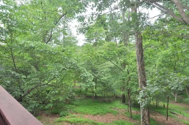 Ev, 2 Büyük (Queen) Boy Yatak (Treetop Cabin)