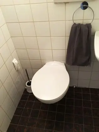 Basic Stüdyo