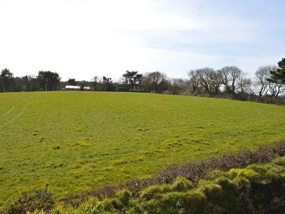 Standard Tek Büyük Yataklı Oda, Banyolu/Duşlu (Country View)