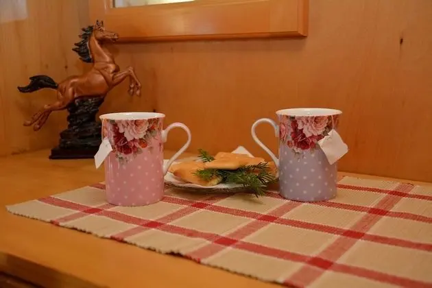 Tek Büyük veya İki Ayrı Yataklı Oda, Dağ Manzaralı