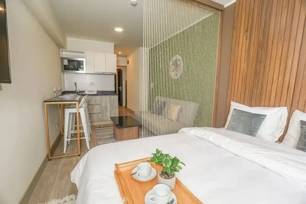 Panoramic Çatı Katı (Loft), Balkon, Şehir Manzaralı