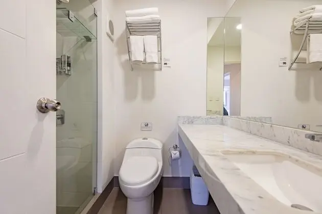 Executive Apart Daire, Birden Çok Yatak, Sigara İçilmez, Mutfak