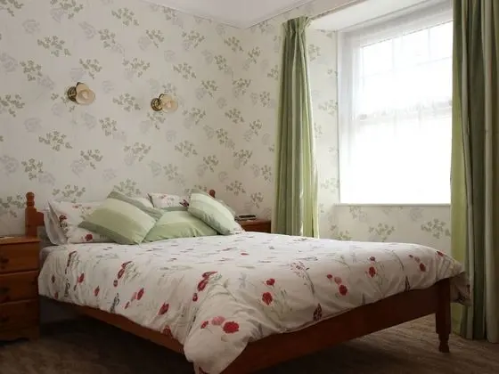 Standard Tek Büyük Yataklı Oda, Banyolu/Duşlu (Room 4)