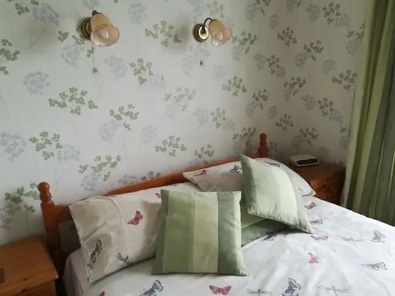 Standard Tek Büyük Yataklı Oda, Banyolu/Duşlu (Room 4)