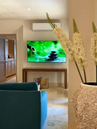 Televizyon