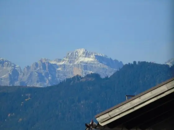 Çatı Katı Süiti (Penthouse), 1 Yatak Odası