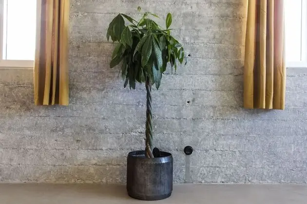 Çatı Katı (Loft) (4 people)