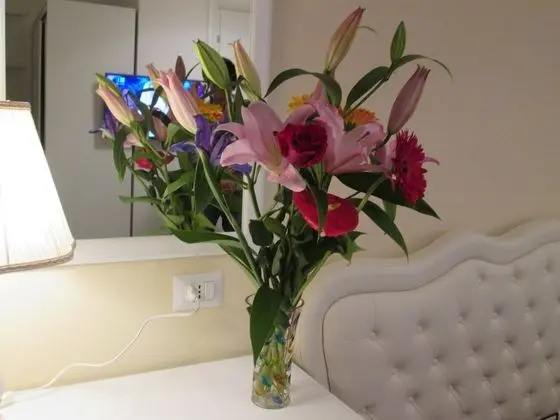 Standard Tek Büyük Yataklı Oda, Balkon