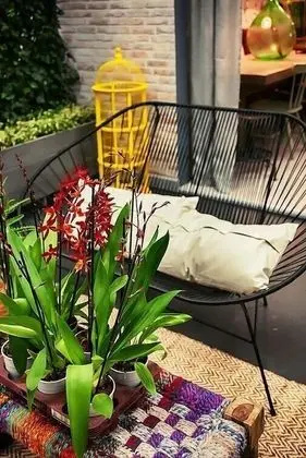 Comfort Tek Büyük Yataklı Oda, Engellilere Uygun, Teras