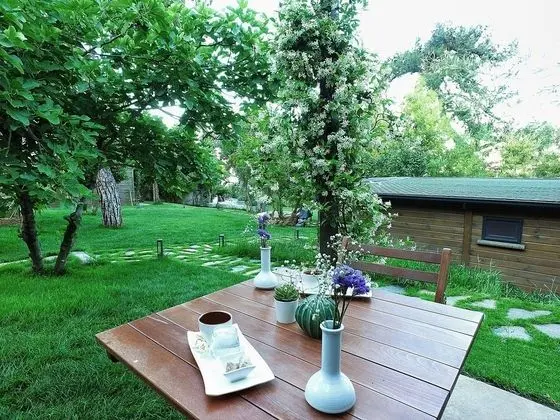 Deluxe Bungalov