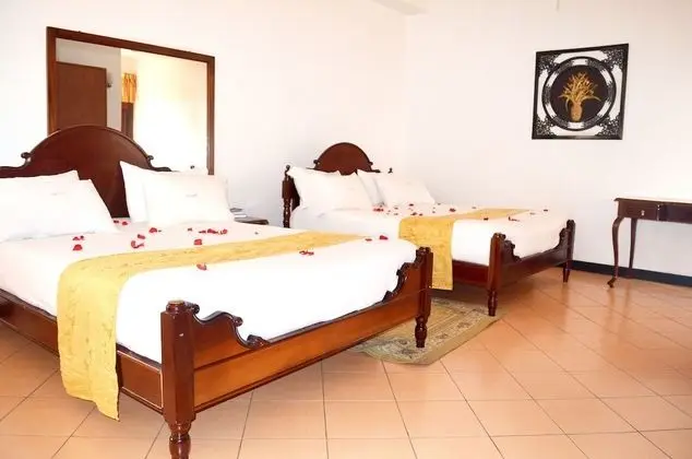 Deluxe İki Ayrı Yataklı Oda, Şehir Manzaralı