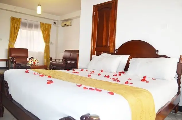 Deluxe Tek Büyük Yataklı Oda, Şehir Manzaralı