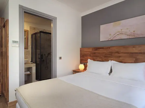 Deluxe Oda,Şehir Manzaralı