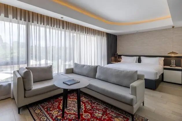 Standard Stüdyo Süit, 1 En Büyük (King) Boy Yatak (Junior Suite)