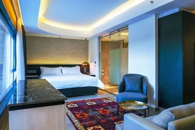 Standard Stüdyo Süit, 1 En Büyük (King) Boy Yatak (Junior Suite)