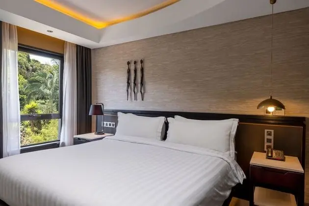 Superior Oda, 1 En Büyük (King) Boy Yatak (One Bedroom Suite)