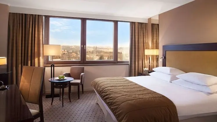 Executive Süit, 1 Yatak Odası, Sigara İçilmez, Şehir Manzaralı