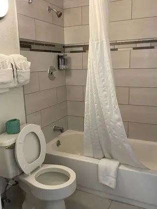 Tek Büyük Yataklı Oda, 2 Büyük (Queen) Boy Yatak