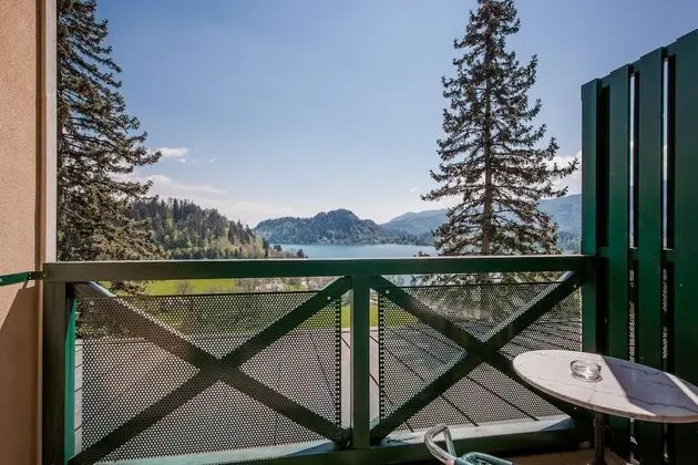 Tek Kişilik Oda, Balkon, Göl Manzaralı