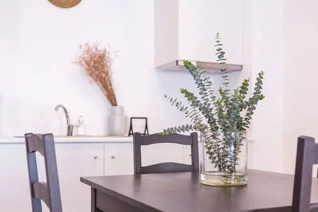 Basic Stüdyo (0 Bedroom)