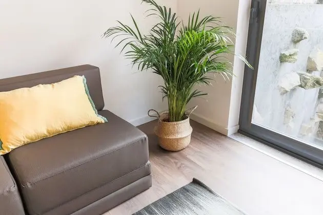 Basic Stüdyo, Bahçe Manzaralı