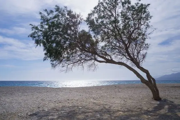 Villa, 2 Yatak Odası, Kişiye Özel Havuzlu, Deniz Manzaralı (Nikos)