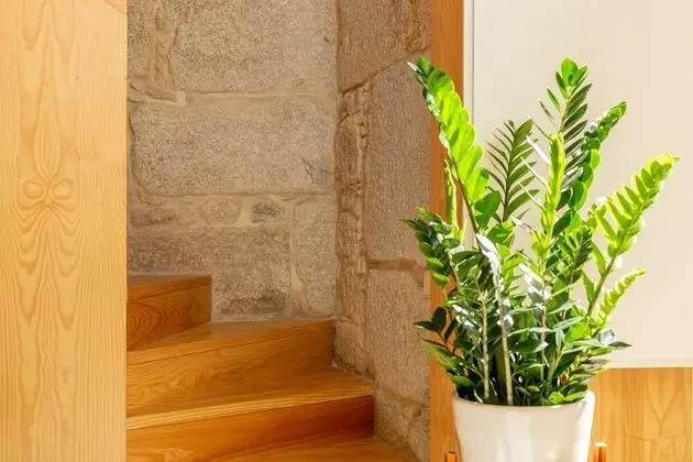 Apart Daire (Mezzanine)