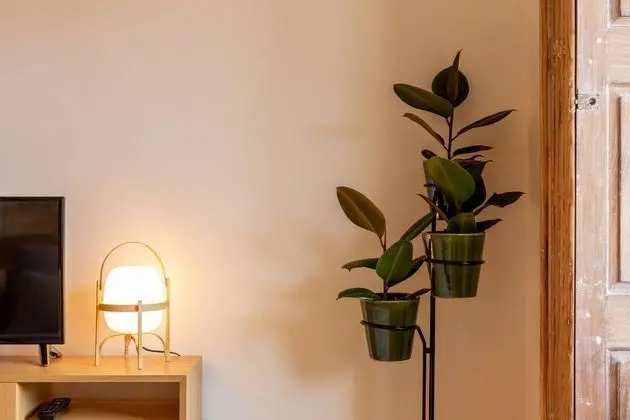 Stüdyo, Balkon, Nehir Manzaralı (1st Floor Back)